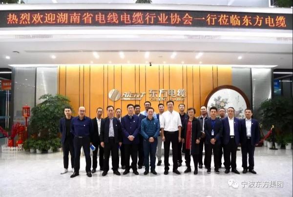 湖南省电线电缆行业协会一行莅临东方电缆