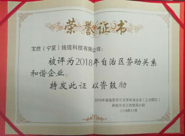 宝胜宁夏公司被宁夏回族自治区评为“2018年自治区劳动关系和谐企业”